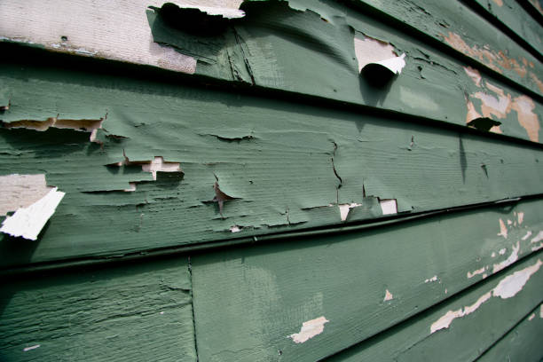 Trusted Ephraim, UT Junk Removal Experts